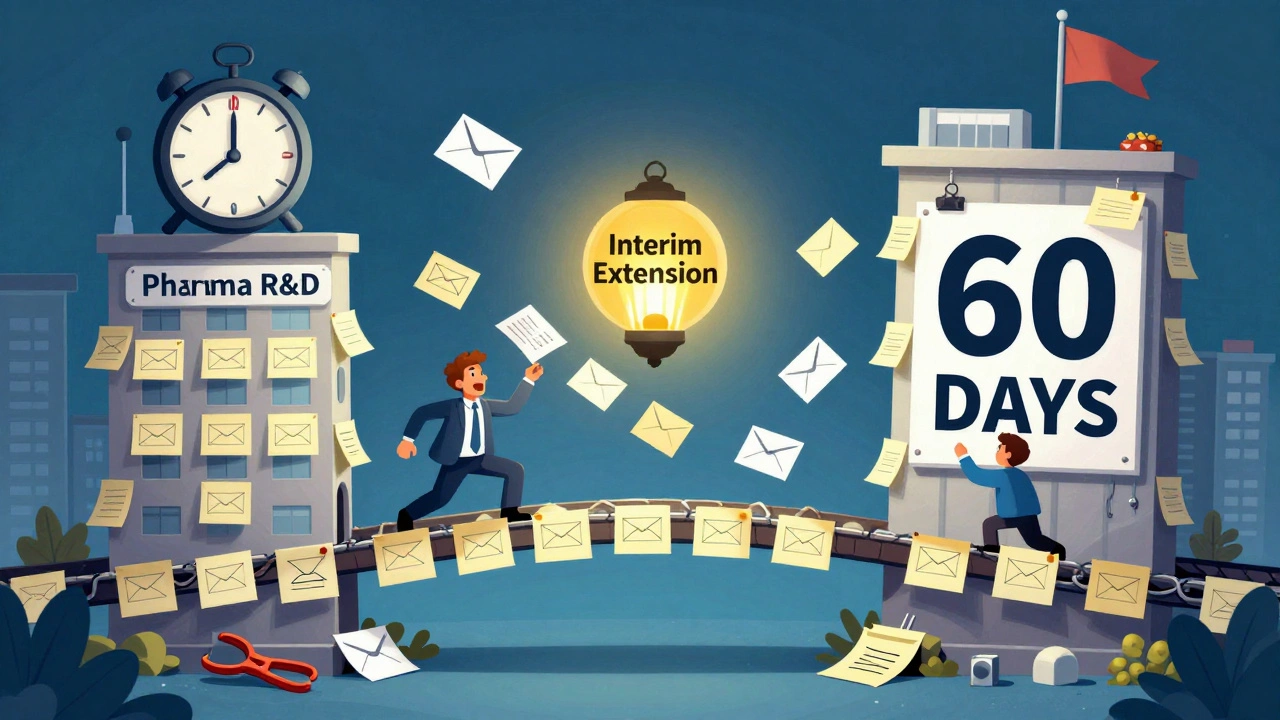 A fragile bridge of documents connecting drug研发 to FDA approval, with generics waiting to cut it.