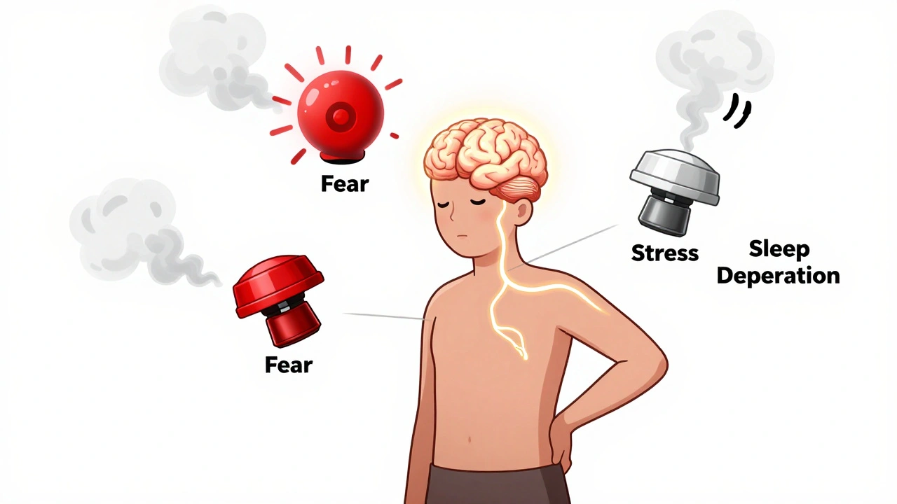 Pain Neuroscience Education: How Understanding Pain Can Change Your Experience