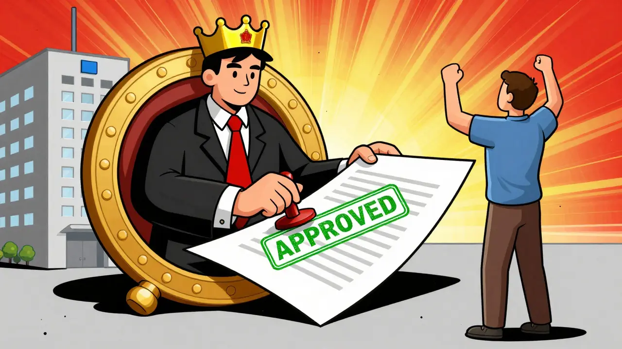 An independent reviewer stamping an insurance appeal as approved in a vibrant illustration.