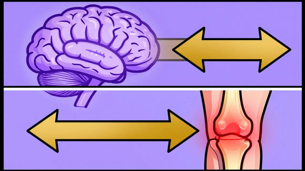 Diagram showing a combined effect on the brain and a joint for pain relief.